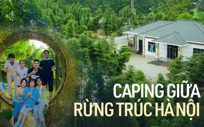 Sự thật về nơi có rừng trúc xanh mướt, nhiều người lùng sục suốt nhiều ngày qua vì muốn đưa gia đình tới tránh nóng