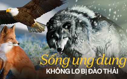 Không lo đào thải, dễ đạt đỉnh vinh quang, phải nhớ: ĐẠO của sói, TRÍ của cáo, MƯU của đại bàng