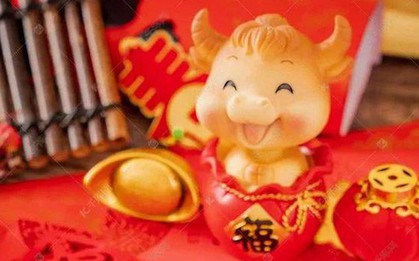 4 con giáp có IQ "vô cực", kinh doanh mát tay, tuổi càng cao phúc lộc càng dày