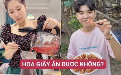Hết mãng cầu xiêm hay măng cụt non bị “săn lùng”, nay lại nổi lên loạt món từ hoa giấy và liệu hoa giấy có ăn được hay không?