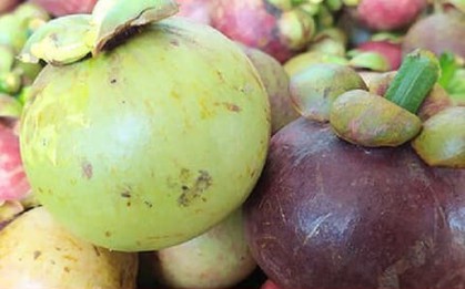Cách chọn măng cụt ngon không phải ai cũng biết