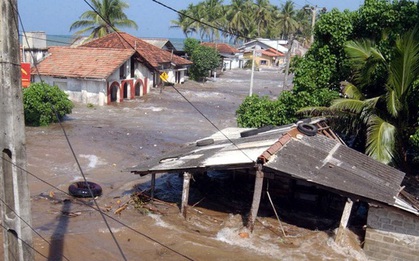 Sử dụng AI và microphone dưới nước để cảnh báo sớm sóng thần và động đất