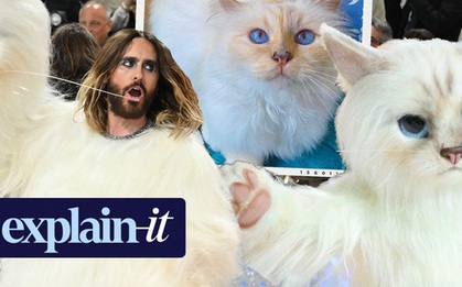 Choupette - mèo cưng của huyền thoại thời trang Karl Lagerfeld "hot" thế nào mà truyền cảm hứng khiến loạt sao chơi trội ở Met Gala?