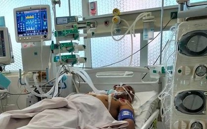 Hái nấm lạ trên rẫy về ăn, một người nguy kịch