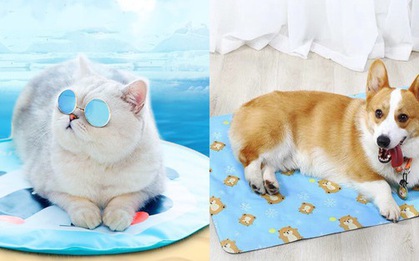 7/5 sale ti tỉ đồ chăm boss, các "con sen" mau vào sắm ngay để ví vẫn bảo toàn!