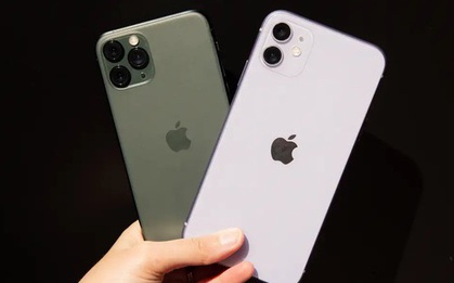 Mẫu iPhone 4 năm tuổi nhưng chưa bị Apple "khai tử": Bán vẫn rất chạy vì giá chỉ 10 triệu, hiệu năng cao