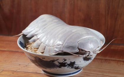 Món mì ramen kết hợp bọ biển khổng lồ thu hút thực khách