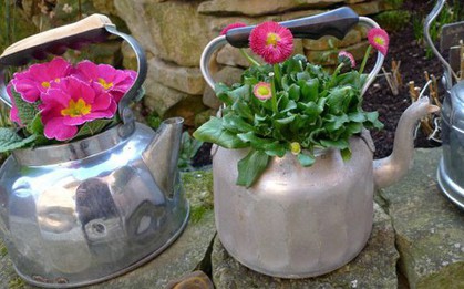 Những ý tưởng tái sử dụng ấm đun nước cũ giúp khu vườn thêm ấn tượng
