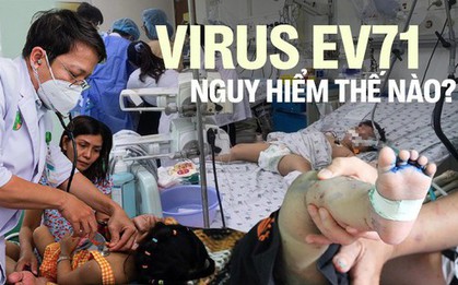 Virus gây bệnh tay chân miệng đã trở lại: EV71 nguy hiểm thế nào?