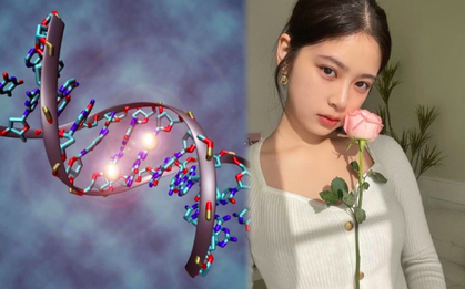 Cơ thể người có sẵn loại enzyme giúp ăn mãi không béo, cách ''kích hoạt'' nó thế nào?