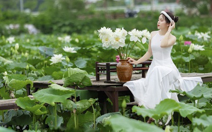 Thợ ảnh hốt “bạc triệu” mỗi ngày, các dịch vụ ăn theo kiếm bộn tiền nhờ mùa sen nở rộ
