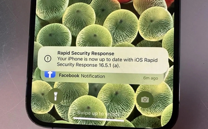 Apple xác nhận bản cập nhật iOS khiến iPhone không thể truy cập Facebook, Instagram, Zoom: Đây là cách để gỡ bỏ