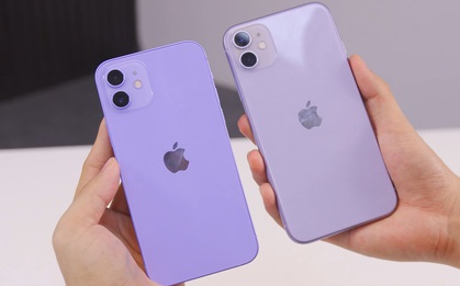 Mẫu iPhone giảm kỷ lục 12 triệu đồng, tiếp tục "phá đáy" tại Việt Nam kể từ khi ra mắt