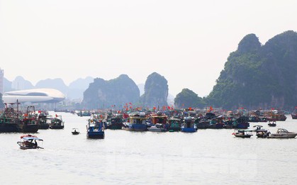 Cập nhật bão Talim: Quảng Ninh gió giật cấp 7