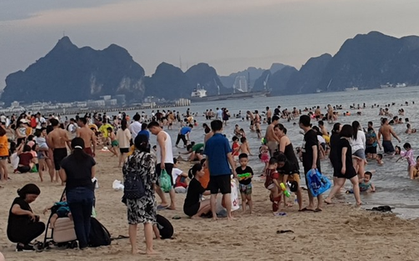 Xác minh vụ du khách bị đánh "hội đồng" tại Bãi Cháy