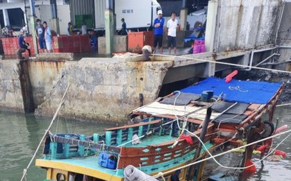 Tàu cá chìm khi đang neo đậu khiến thuyền viên tử vong