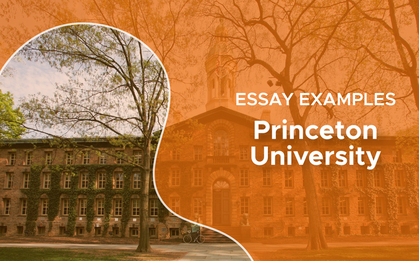 Bài luận 500 từ chinh phục Đại học Princeton: "Sau vài ngày lục tung Google, tôi hoàn toàn bị đánh gục"