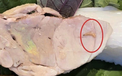 Quán bún đậu nổi tiếng ở TP.HCM bị tố có giòi