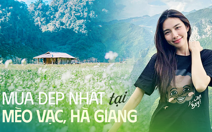 Khám phá Mèo Vạc, Hà Giang vào mùa đẹp nhất trong năm, đến Hoa hậu Thùy Tiên và Quang Linh Vlogs phải lặng người vì quá đẹp