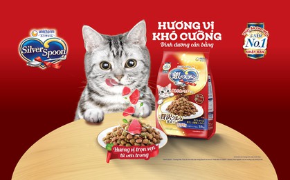 Quẳng gánh âu lo mỗi khi mèo chán ăn