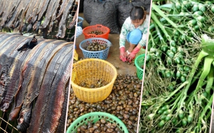 Trước giun đất, thương lái Trung Quốc thu gom kỳ lạ, tạo cơn sốt ảo ở Việt Nam thế nào?