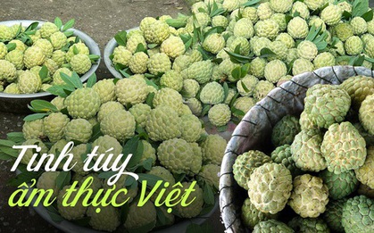 Về Võ Nhai, thưởng lãm món quà quý mà trời đất ban cho vùng đất này