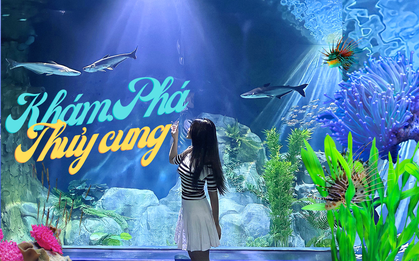 Thuỷ cung mới toanh tại Hà Nội: cả "đại dương" rộng 9.000m2 nhưng lại không như mong đợi