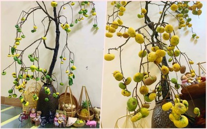 Chị em "sốt xình xịch", thú chơi cành thị cắm bình lên ngôi