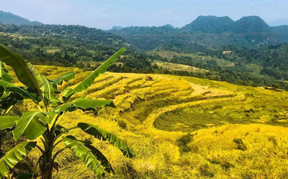 Bắt trọn "thời điểm vàng" tận hưởng và trải nghiệm Pù Luông đẹp nhất trong năm với chi phí chưa tới 2 triệu đồng