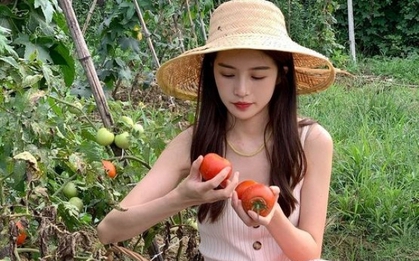 Loại quả chín kỹ sẽ trở thành trái quý chống ung thư lại giúp trắng da, đẹp tóc