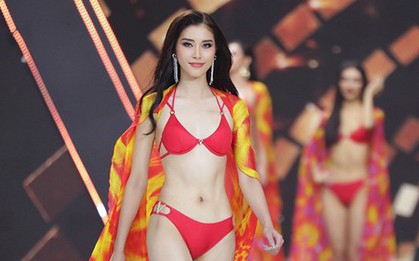 Từ “hoa khôi bóng chuyền” đến Hoa hậu Hoàn vũ