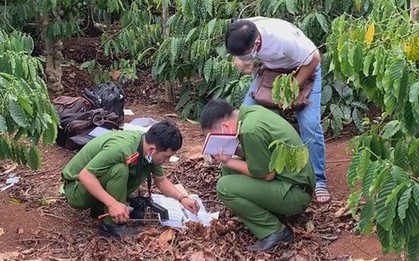 Tá hỏa phát hiện bộ xương người lộ thiên trong vườn cà phê
