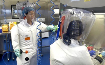 "Quý bà dơi" Vũ Hán cảnh báo về 20 loại virus corona mới