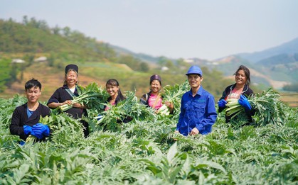 Traphaco và hành trình đảo ngược ‘nghịch lý dược liệu’ ở Việt Nam, nâng thu nhập dân nghèo lên tới trăm triệu/ năm