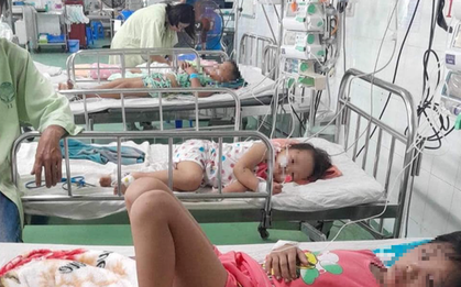 Bị ong vò vẽ đốt, người mẹ hôn mê và 3 con nhỏ bị thương tích nặng