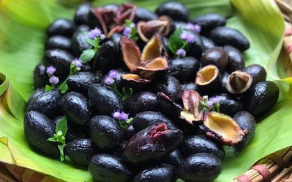 Loại quả mùa thu vừa cứng vừa chát nhưng "bổ ngang thịt", lại trị được hơn 10 bệnh