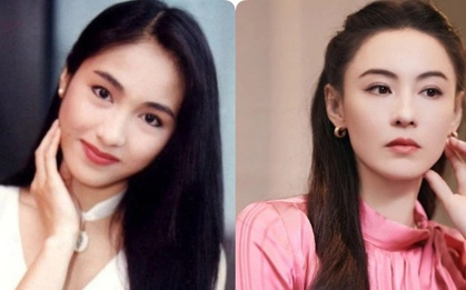 Trương Bá Chi, Lê Tư: Hai đại mỹ nhân đều tin tưởng loại hạt này để dưỡng tóc bóng mượt