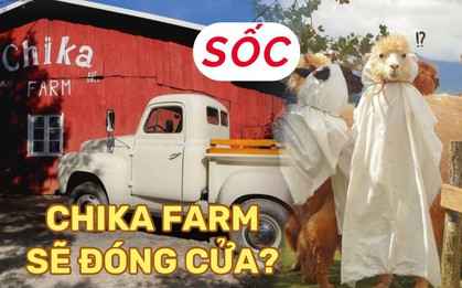 Chika Farm Đà Lạt bất ngờ thông báo đóng cửa dù đang đông khách, khiến dân tình vô cùng hoang mang