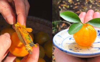 Một món mứt Tết cổ xưa của người Huế, chỉ xem thôi cũng phải "nín thở" bởi độ kỳ công