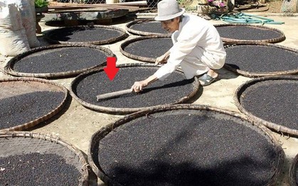 Liên tục tăng giá, "vàng đen" giúp Việt Nam thu vượt 1 tỷ USD: Hàng trăm nghìn tấn đổ bộ 100 quốc gia