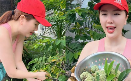 Bảo Thy hái na cùng chồng thôi cũng bị dân mạng bắt bẻ: "Na xanh vậy cắt vội để luộc ăn hả chị?"