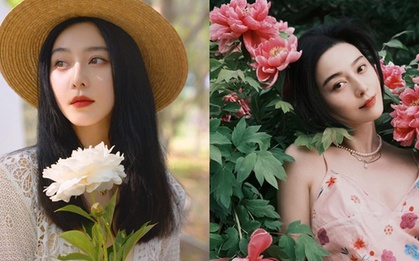 2 thức uống giàu collagen, hút mỡ thừa mà Phạm Băng Băng dùng vào buổi sáng: Trước khi dùng chị em phải nhớ vài nguyên tắc