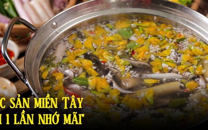 Loại cá miền Tây ăn một lần nhớ cả đời, chỉ xuất hiện 3 tháng/năm, đi chợ thấy phải mua ngay vì giàu canxi, tốt cho xương khớp