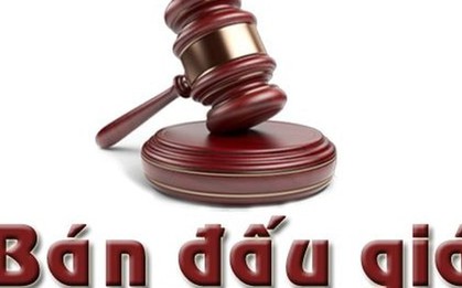 Ngân hàng rao bán biệt thự trăm tỷ ở Cầu Giấy (Hà Nội) kèm theo cây sung, đu đủ, xoài, chuối...