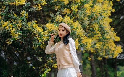 Truyền thuyết loài hoa trinh nữ vàng ở Đà Lạt