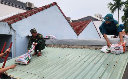 Đà Nẵng: Cấm đường lên bán đảo Sơn Trà từ 5 giờ chiều nay