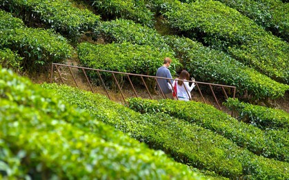 Một nước láng giềng của Việt Nam sẽ sớm thành nước thu nhập cao, một chỉ số được nhận xét "vượt trội"