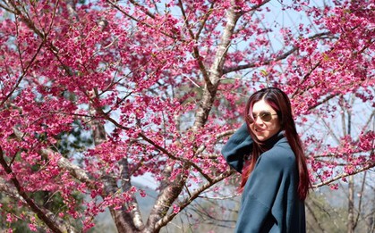 Những điểm du lịch hot nhất dịp Tết năm nay