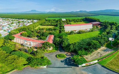 Bí quyết thăng tiến dành riêng cho Gen Y & Z: Học thêm Ngôn ngữ Anh siêu tiện lợi!