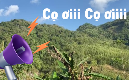 "Cọ ơi là gì" xâm chiếm mạng xã hội: Người không biết thấy sởn gai ốc, người biết rồi thì quẹt vội nước mắt